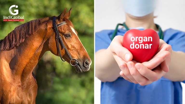 Is the human race looking at animal organs for Heart and Kidney?