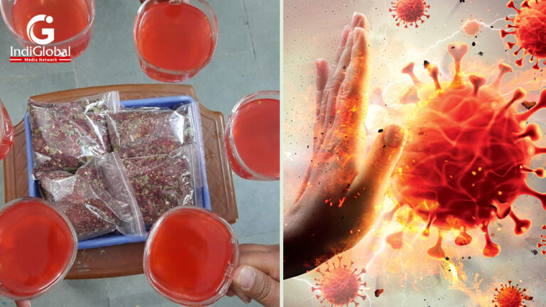 IIT Mandi discovers Phytochemicals in Himalayan Plant that inhibit the COVID-19 Virus