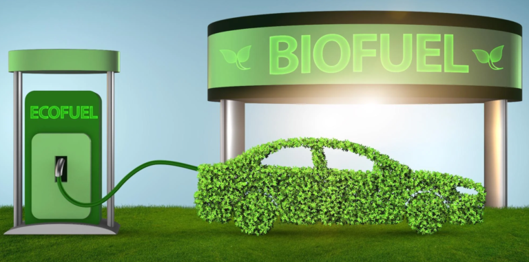BioEnergy enters Indian market