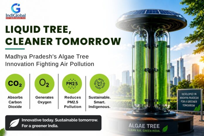 Algae Tree